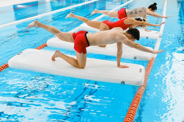 Zenmendladia transformacja